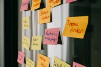 Post-its mit Begriffen zum Team Coaching kleben an einer Wand